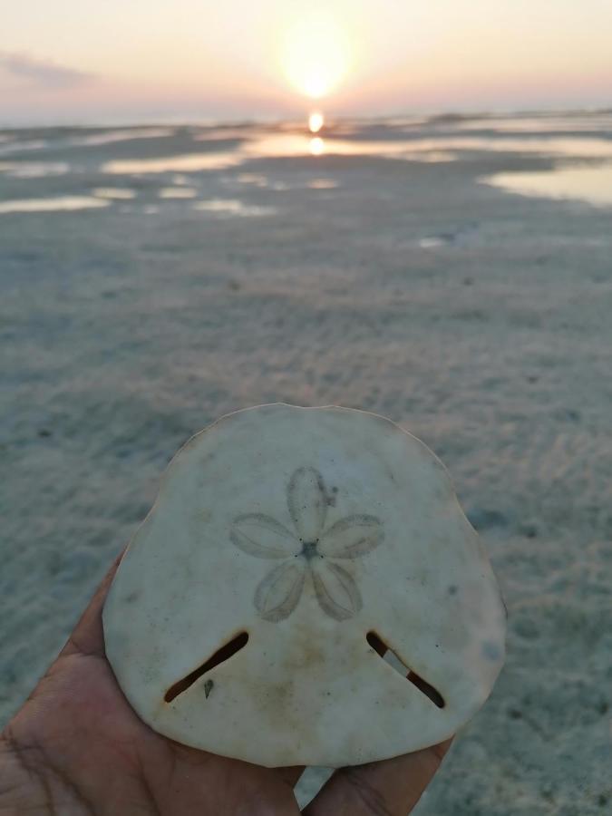 Masirah Beach Camp Al Qārin Exterior foto